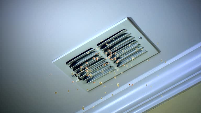 Best Affordable Air Duct Cleaning  in Mcpherson, KS
